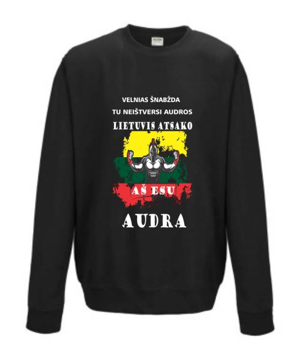 Džemperis: Lietuvis-Audra