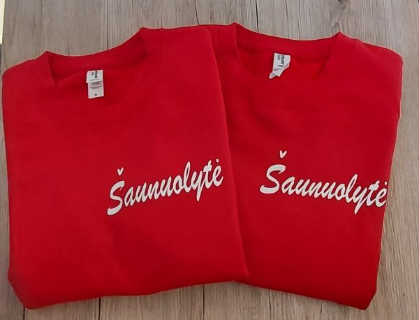 Džemperis: Šaunuolytė 